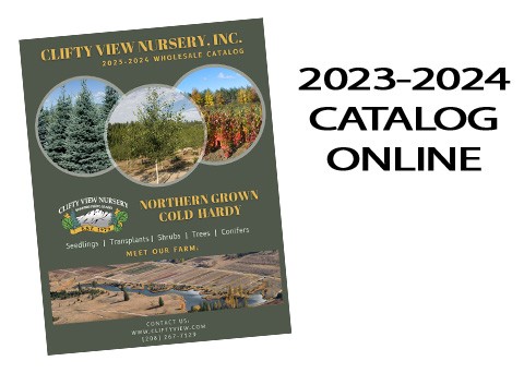 2023-24-catalog-online